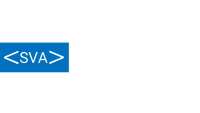 Silicon Valley Associates Recruitment